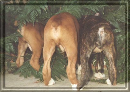 Cayman's First Children