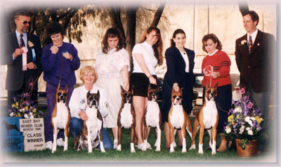 Caymans Darlin Mena and her brood