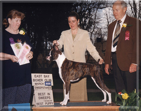 Tri-Oaks Sweet Celine