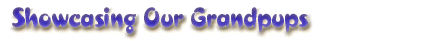 grandpups_b.gif (7316 bytes)
