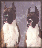 Scott and his sister, Mena