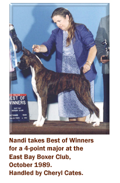 Ch. Caymans Sweet Nandi